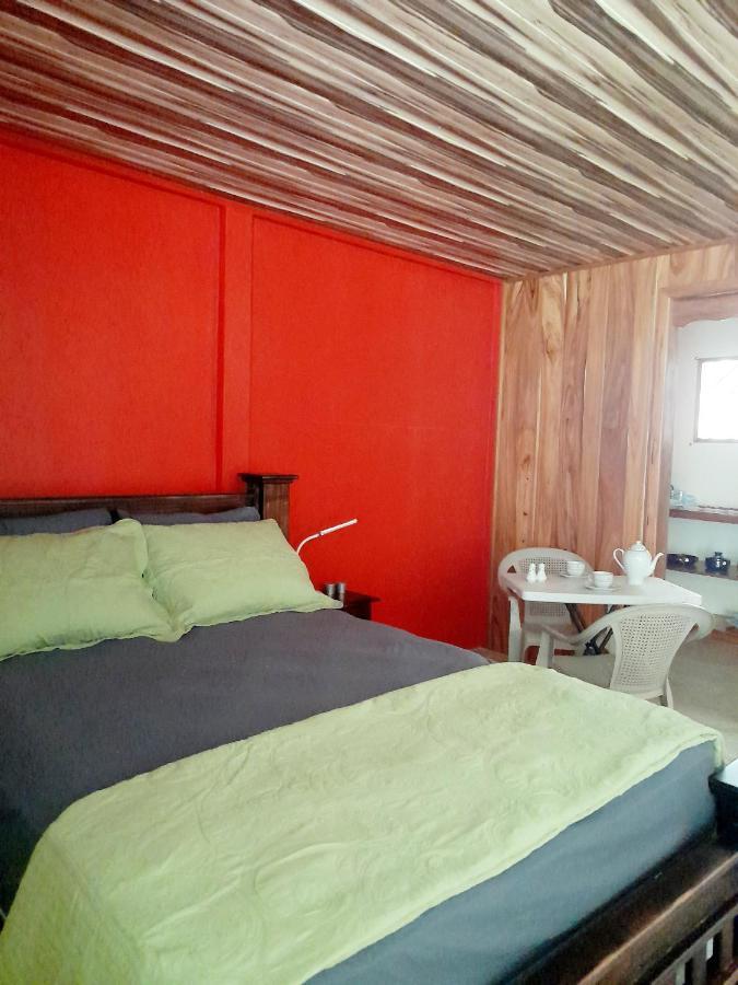 Hostel Osa Tucan Drake Drakes Bay Camera foto