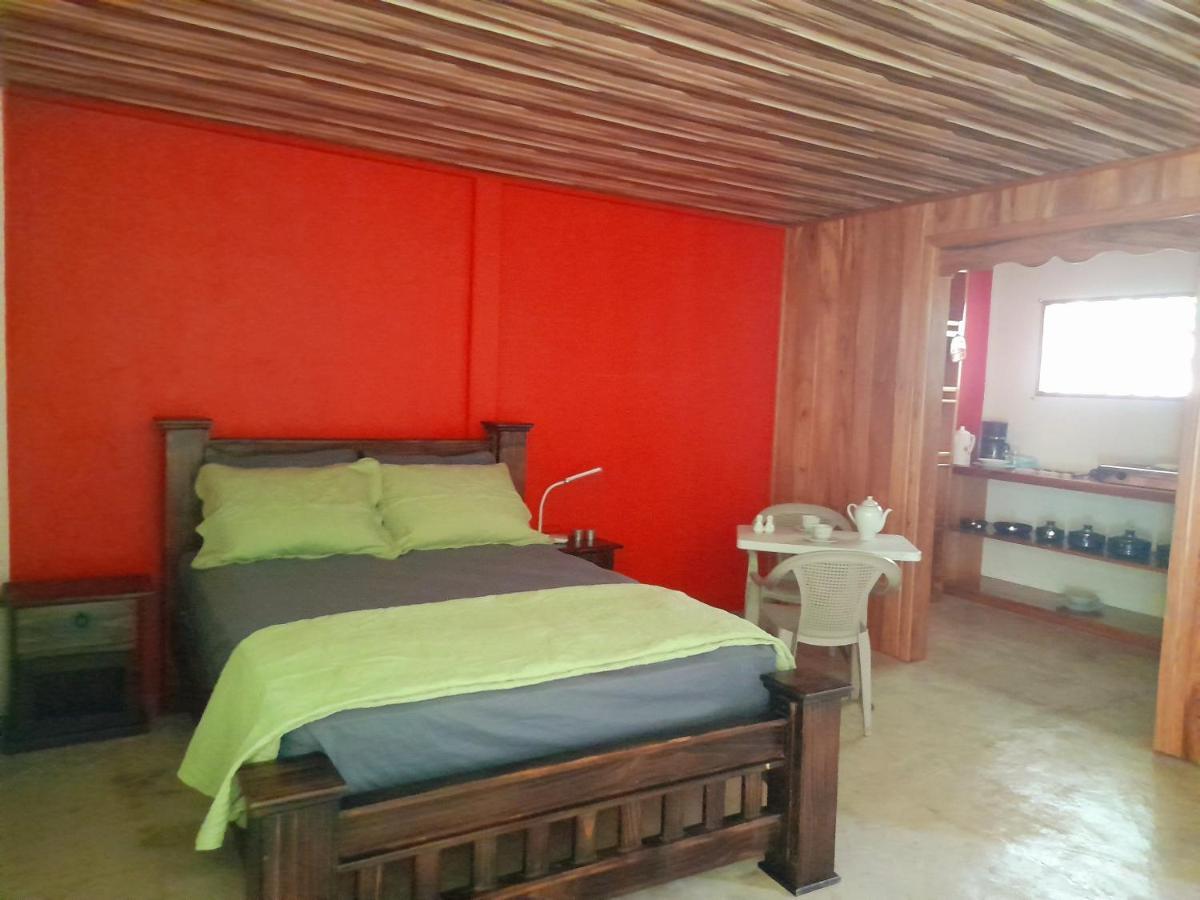 Hostel Osa Tucan Drake Drakes Bay Esterno foto