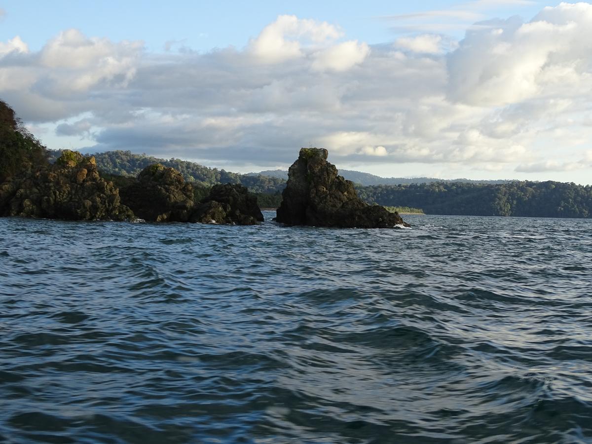Hostel Osa Tucan Drake Drakes Bay Esterno foto