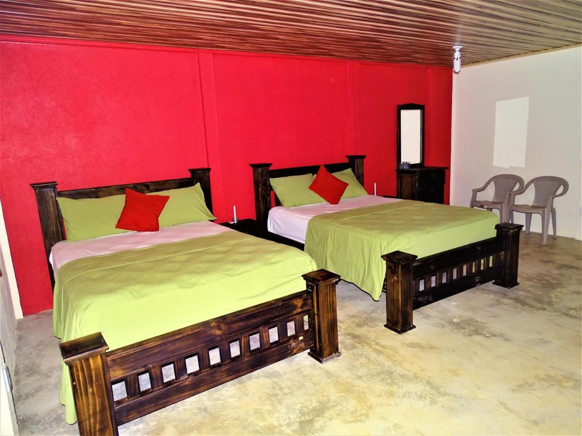 Hostel Osa Tucan Drake Drakes Bay Esterno foto